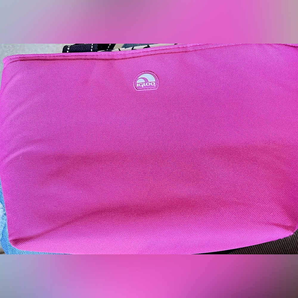 Igloo lunch bag